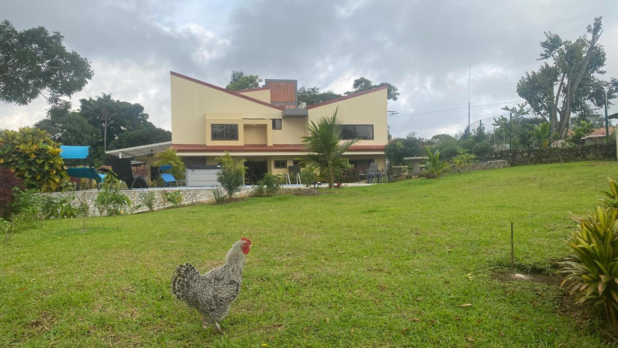 Apartment Casa Marigold -apartamento Bondad Alajuela